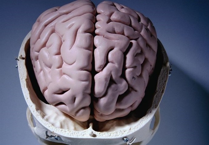 مغز انسان به طور طبیعی قند تولید می‌کند