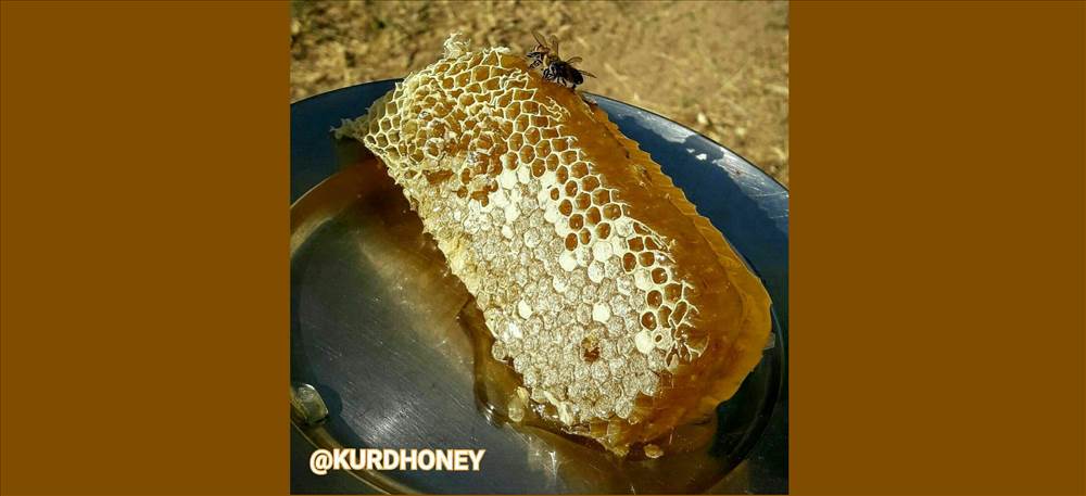 عسل طبیعی کردستان کوردهانی Kurd Honey