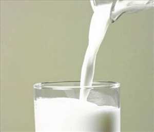 شیر تازه گاو داری