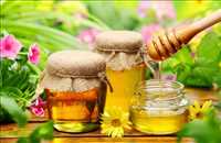 عسل طبیعی  گراوان کندو کردستان